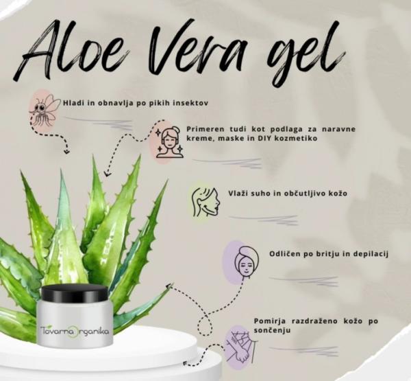 Aloe vera gel je spet na voljo